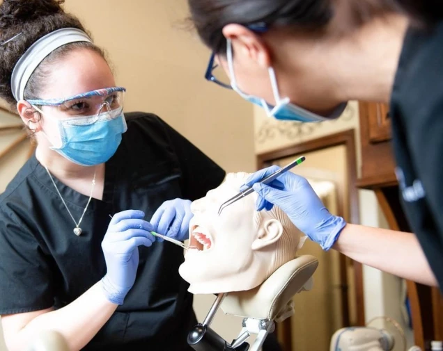 students training with practice subject in class